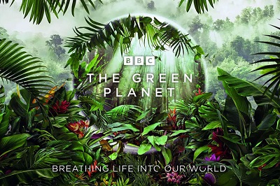 [百度云][高清4K][全5集][MP4][中英双字]BBC纪录片《绿色星球 The Green Planet》网盘下载